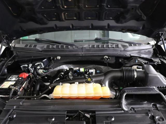 Photo of 2019 Magnetic Ford F-150