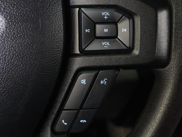 Photo of 2019 Magnetic Ford F-150