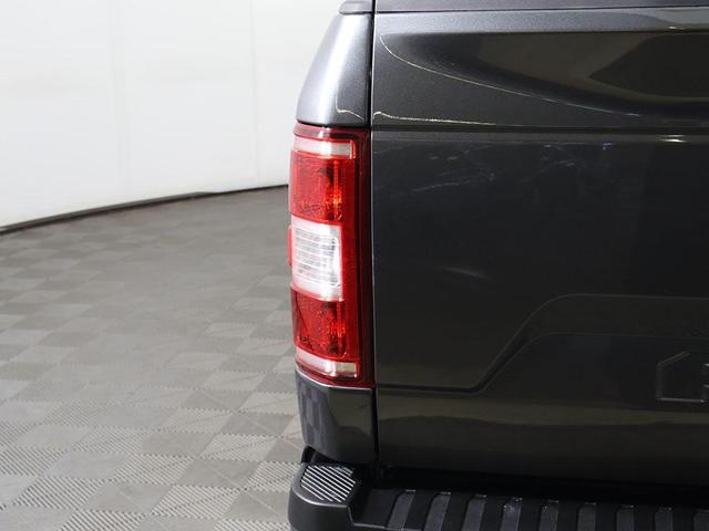 Photo of 2019 Magnetic Ford F-150