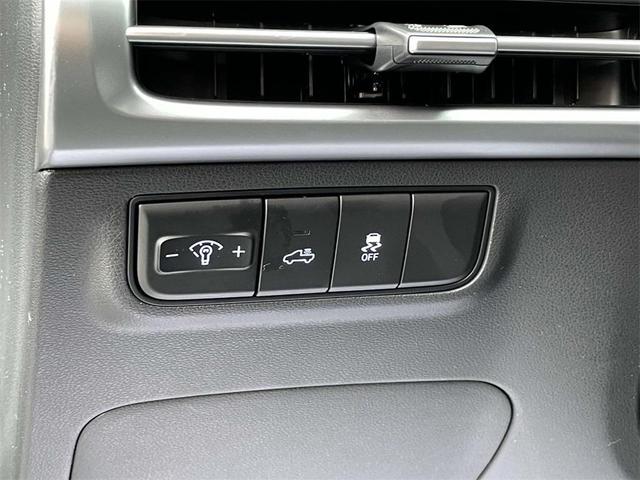 Photo of 2025 Bluestone Hyundai SANTA CRUZ