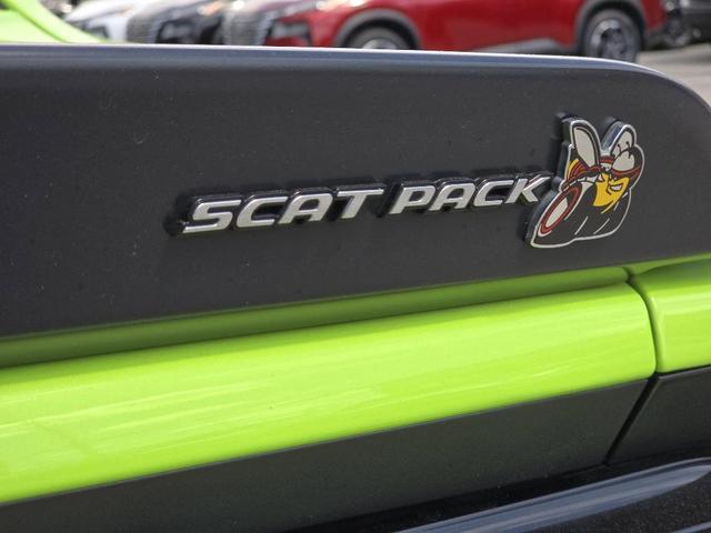 Photo of 2023 Sublime Clearcoat Metallic Dodge Challenger