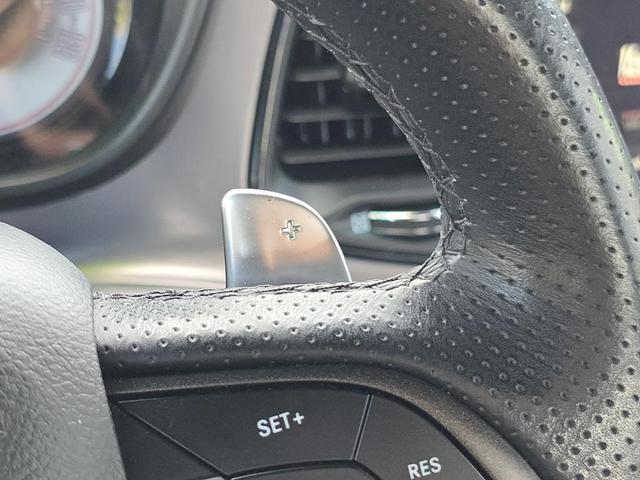 Photo of 2023 Sublime Clearcoat Metallic Dodge Challenger