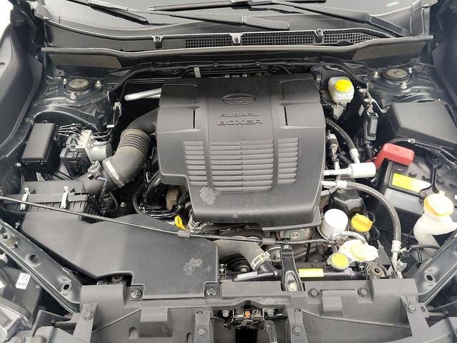 Photo of 2023 Green Subaru Forester