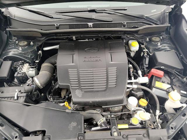 Photo of 2023 Green Subaru Forester