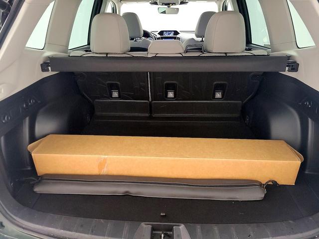 Photo of 2023 Green Subaru Forester