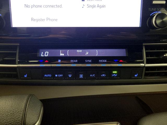 Photo of 2022 Blue Toyota Sienna