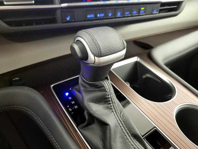 Photo of 2022 Blue Toyota Sienna