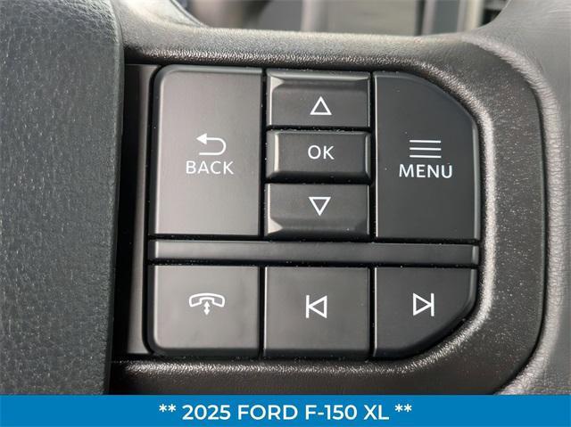 Photo of 2025 Agate Black Metallic Ford F-150