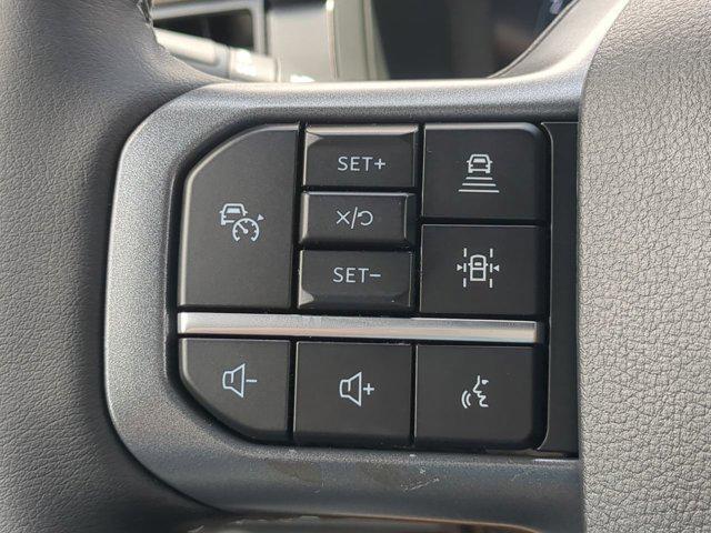 Photo of 2025 Gray Ford F-150