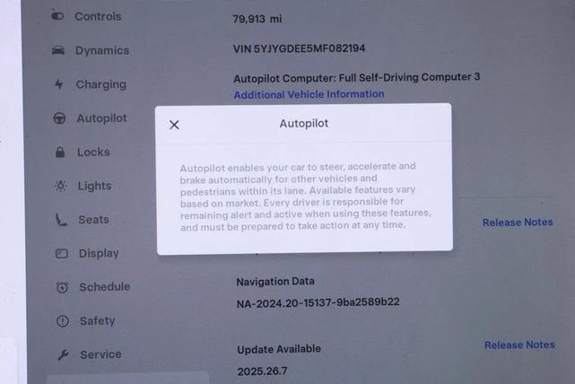 Photo of 2021 Pearl White Multi-Coat Tesla Model Y