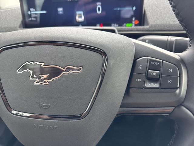 Photo of 2025 Shadow Black Ford Mustang Mach-E