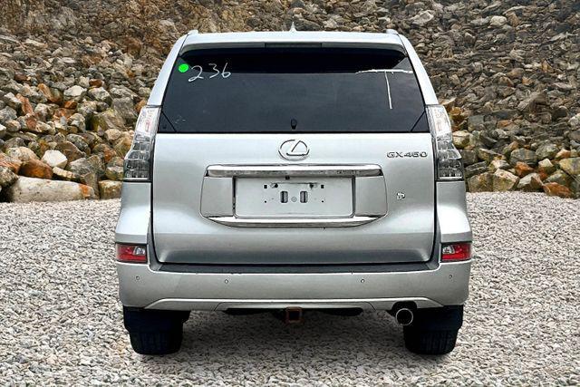 Photo of 2019 Silver Lining Metallic Lexus GX 460