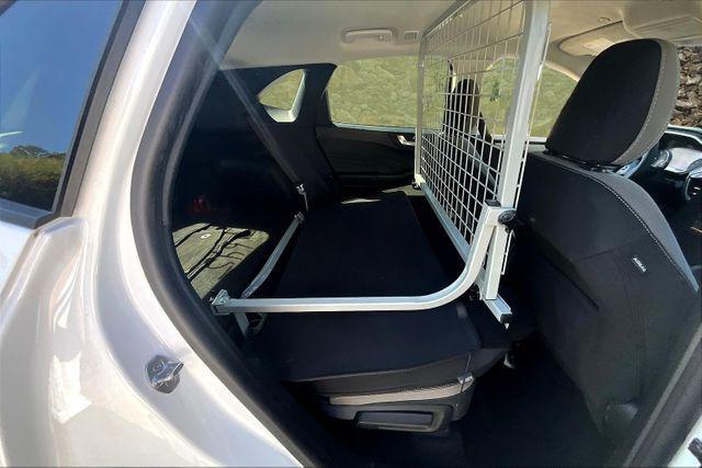 Photo of 2021 White Ford Escape