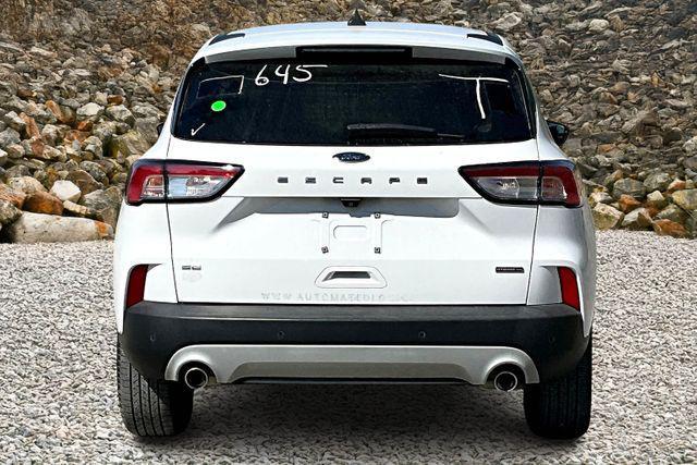 Photo of 2021 White Ford Escape