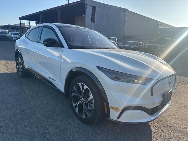 Photo of 2021 White Metallic Ford Mustang Mach-E