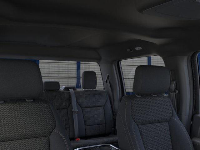 Photo of 2025 Black Metallic Ford F-150