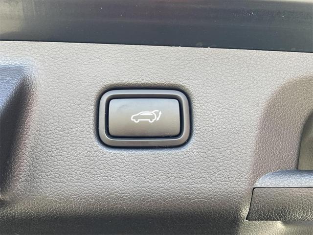 Photo of 2023 Robust Emerald Hyundai PALISADE