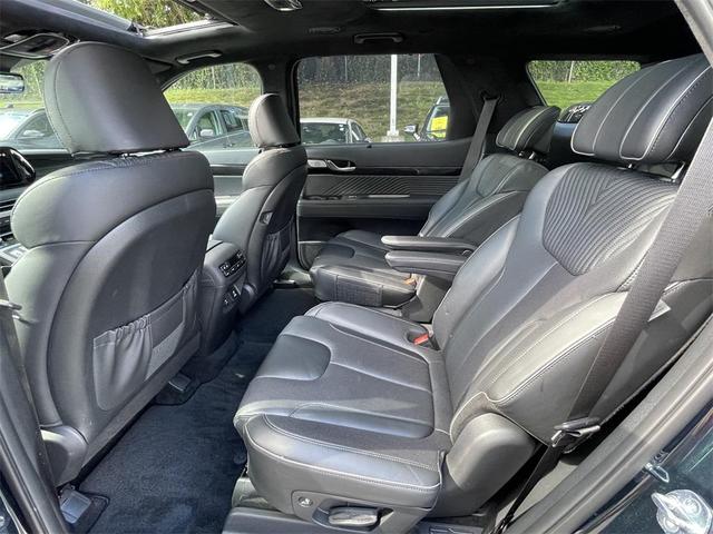 Photo of 2023 Robust Emerald Hyundai PALISADE