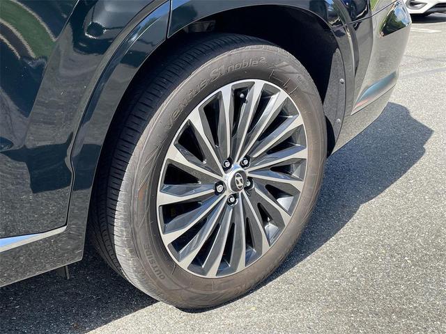 Photo of 2023 Robust Emerald Hyundai PALISADE