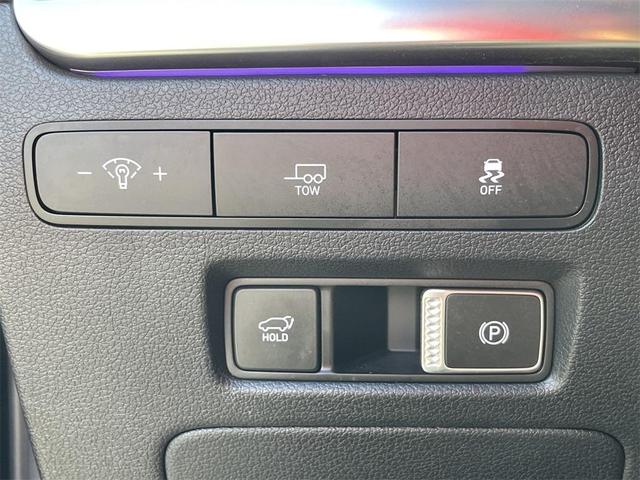 Photo of 2023 Robust Emerald Hyundai PALISADE