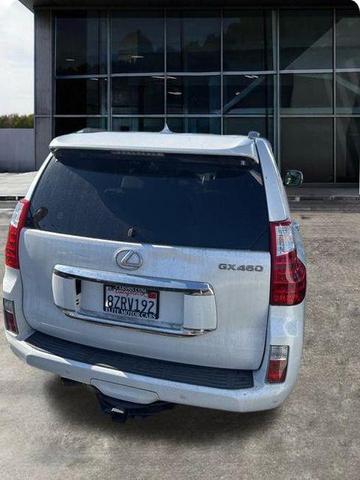 Photo of 2013 Starfire Pearl Lexus GX 460