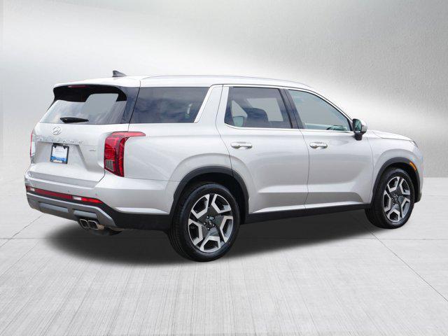 Photo of 2025 Typhoon Silver Hyundai PALISADE