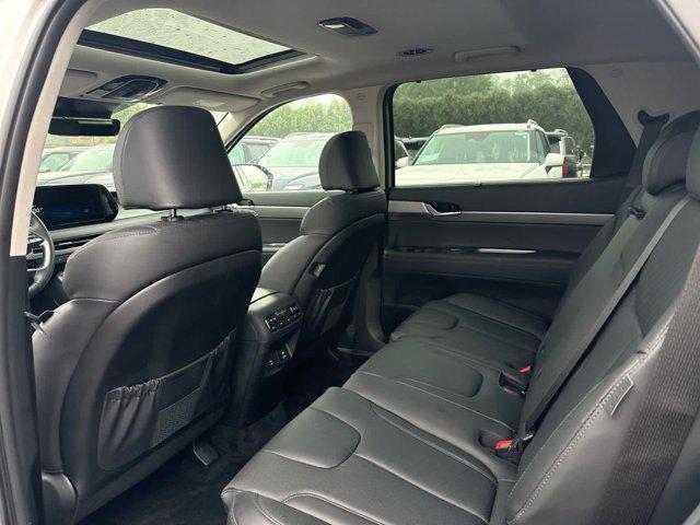 Photo of 2025 Typhoon Silver Hyundai PALISADE