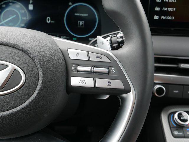 Photo of 2025 Typhoon Silver Hyundai PALISADE