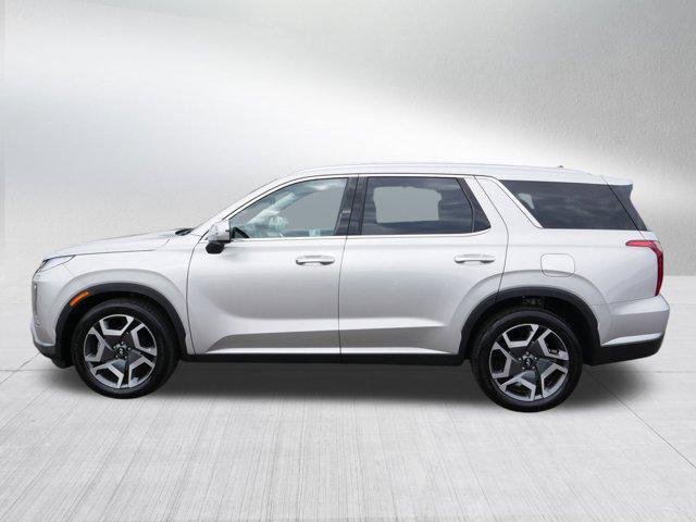 Photo of 2025 Typhoon Silver Hyundai PALISADE