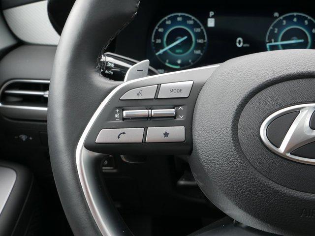 Photo of 2025 Typhoon Silver Hyundai PALISADE