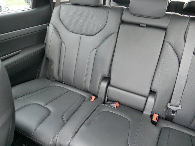Photo of 2025 Typhoon Silver Hyundai PALISADE