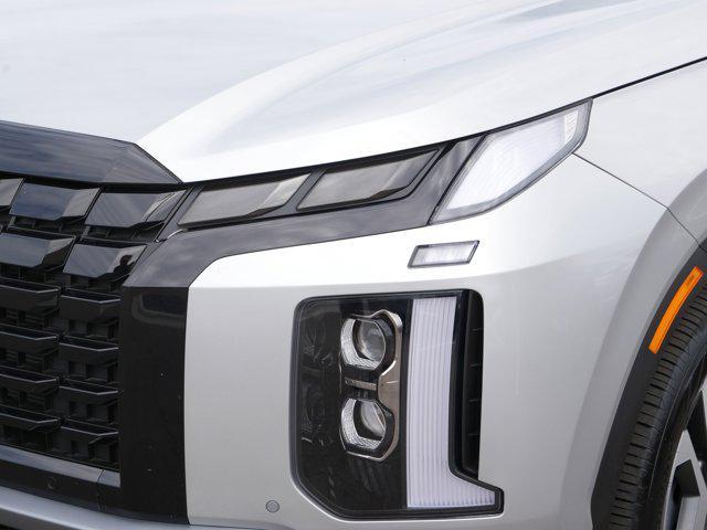 Photo of 2025 Typhoon Silver Hyundai PALISADE