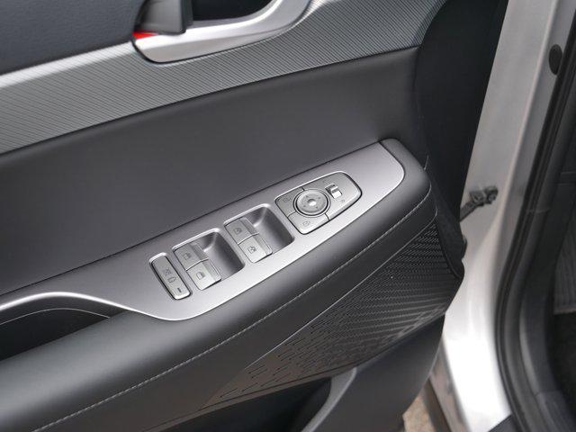 Photo of 2025 Typhoon Silver Hyundai PALISADE