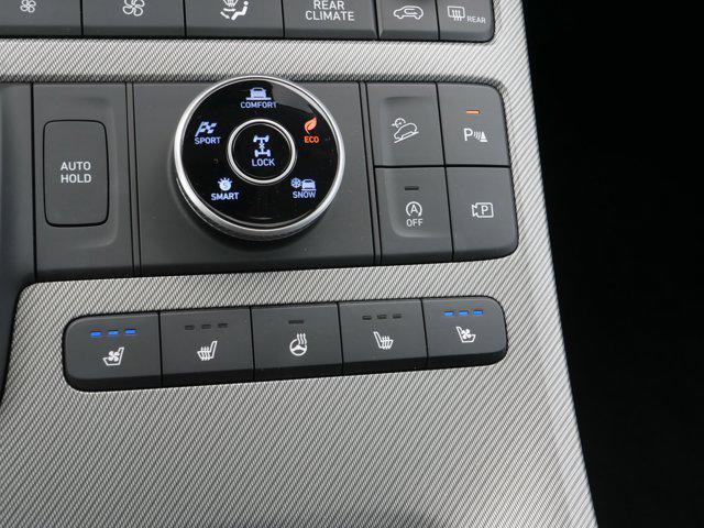 Photo of 2025 Typhoon Silver Hyundai PALISADE
