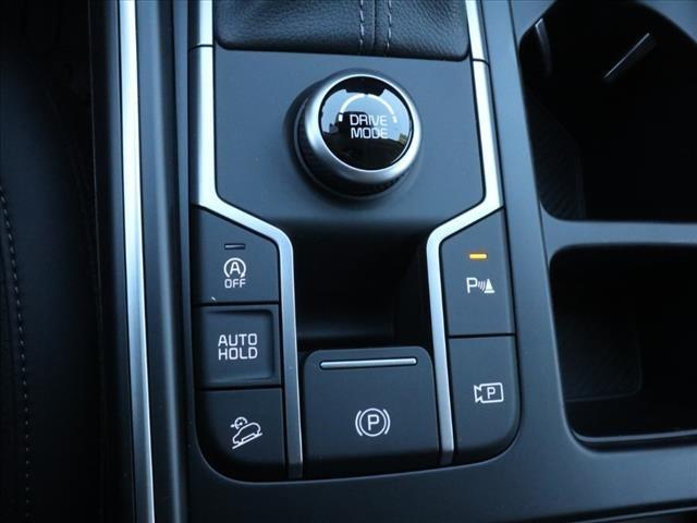 Photo of 2025 Panthera Metal Kia Sorento