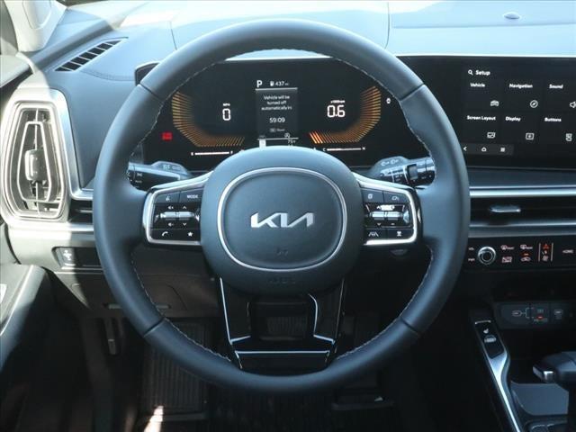 Photo of 2025 Panthera Metal Kia Sorento