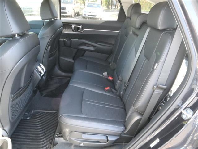 Photo of 2025 Panthera Metal Kia Sorento
