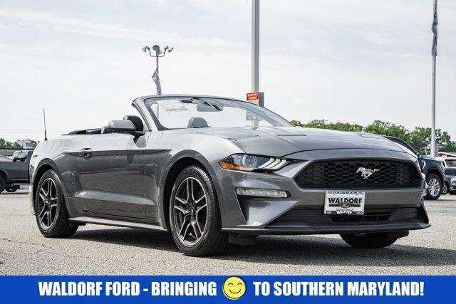 2023 Ford Mustang