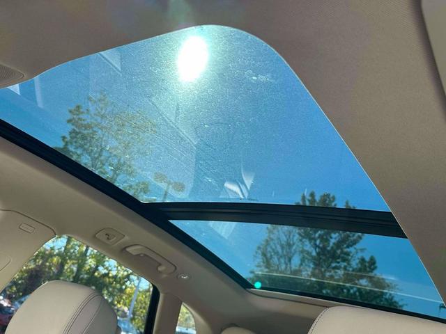 Photo of 2023 Ibis White Audi Q5