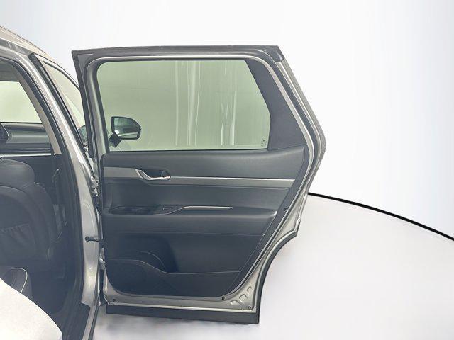Photo of 2024 Typhoon Silver Hyundai PALISADE
