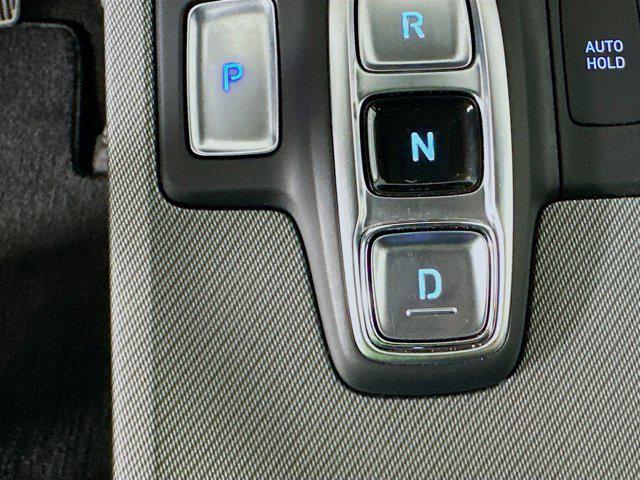 Photo of 2024 Typhoon Silver Hyundai PALISADE