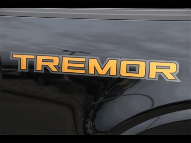 Photo of 2025 Black Ford F-150
