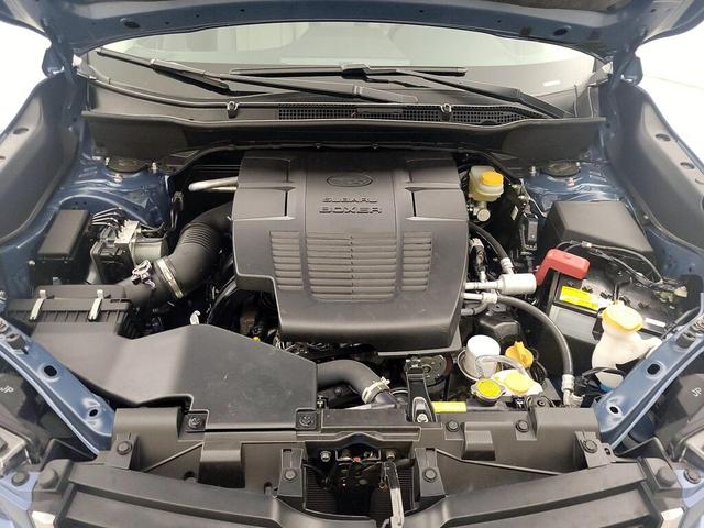Photo of 2021 Blue Subaru Forester
