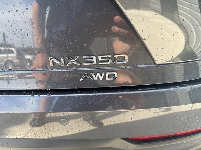 Photo of 2023 Cloudburst Gray Lexus NX 350