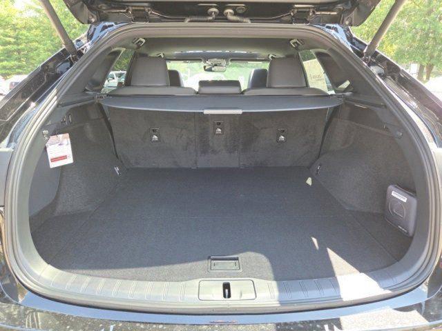 Photo of 2025 Caviar Lexus RX 350
