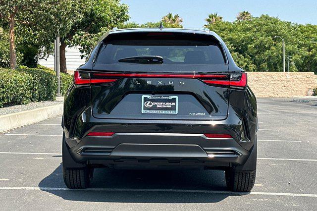Photo of 2025  Lexus NX 250