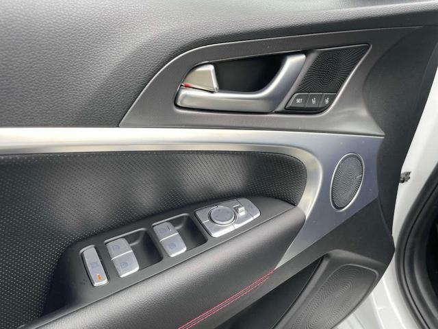 Photo of 2024 Vik Black Genesis G70
