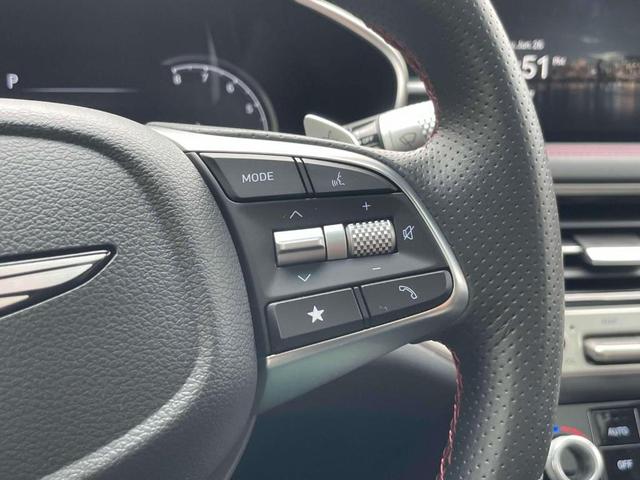 Photo of 2024 Vik Black Genesis G70