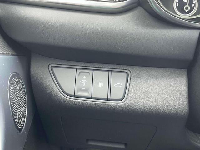 Photo of 2024 Vik Black Genesis G70