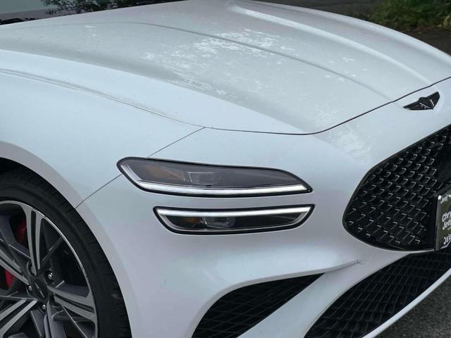 Photo of 2024 Vik Black Genesis G70